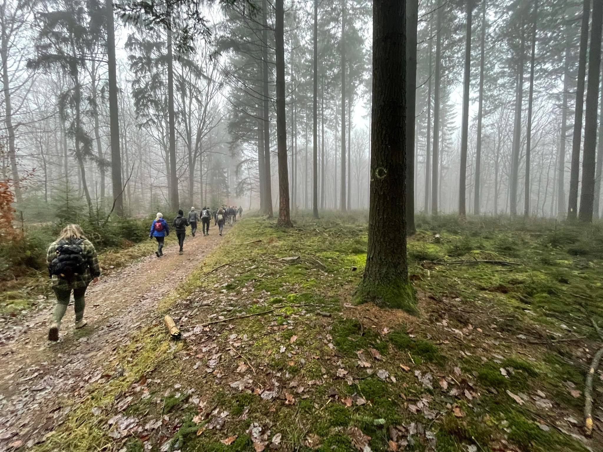 Groepswandeling door bos