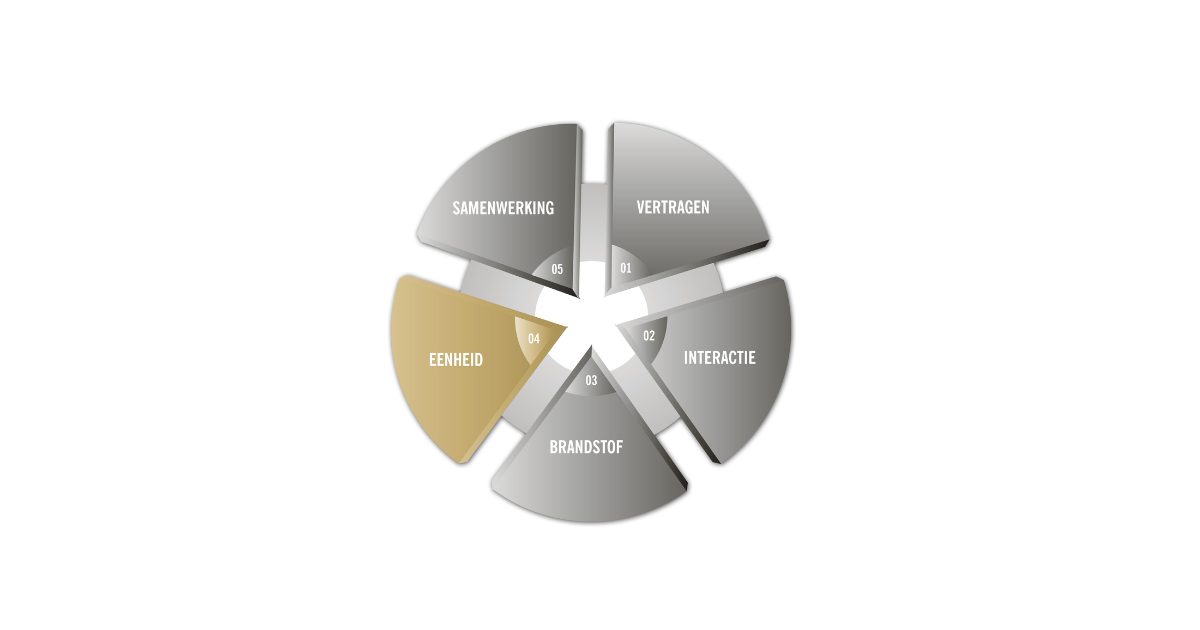 V.I.B.E.S. - Eenheid