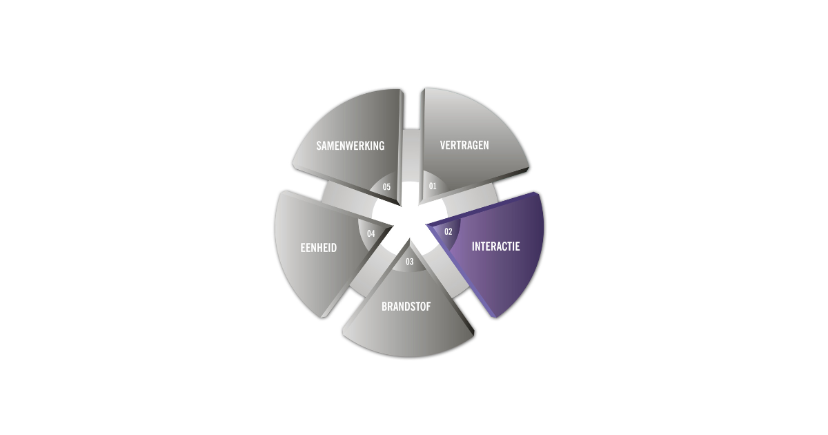 V.I.B.E.S. - Interactie